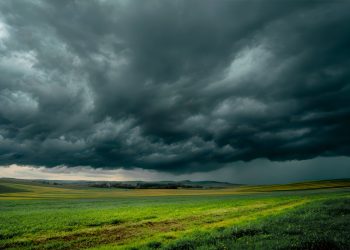 Mau tempo prepara regresso a Portugal continental: saiba quando chega a chuva e que regiões poderão ser mais afetadas