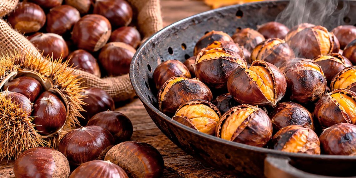 Castanhas: como escolher, preparar e conservar este fruto da época