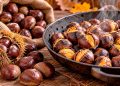 Castanhas: como escolher, preparar e conservar este fruto da época