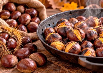 Castanhas: como escolher, preparar e conservar este fruto da época