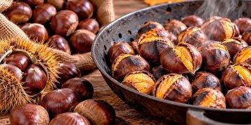 Castanhas: como escolher, preparar e conservar este fruto da época