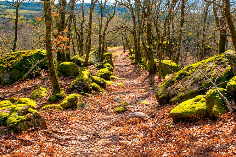 Aldeia Velha do Juriz: o mistério da aldeia medieval abandonada no coração do Gerês