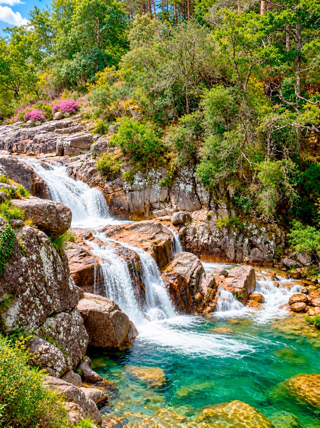 Mata da Albergaria: o bosque encantado do Gerês que parece saído de um conto de fadas Mata da Albergaria