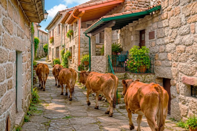 Soajo: a encantadora vila fundada no séc. I no Norte de Portugal
